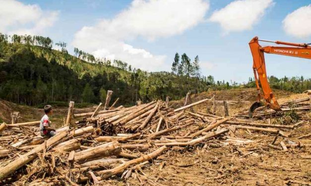 Deforestasi Dan Dampaknya Terhadap Perubahan Iklim Global