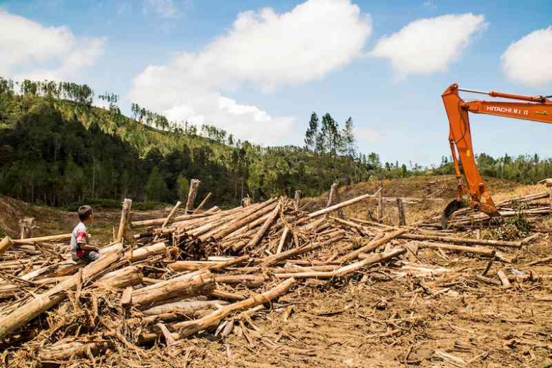 Deforestasi Dan Dampaknya Terhadap Perubahan Iklim Global