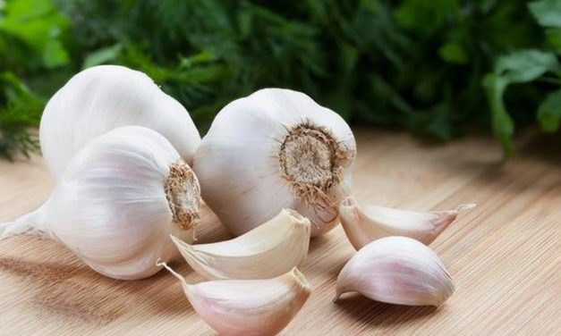 Khasiat Bawang Putih Kesehatan Masih Dipercaya Banyak Orang