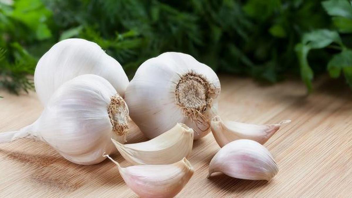 Khasiat Bawang Putih Kesehatan Masih Dipercaya Banyak Orang