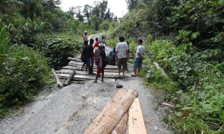Papua Dan Tantangan Pembangunan Infrastruktur Di Daerah