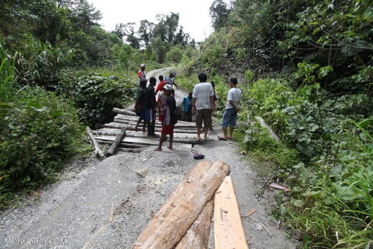 Papua Dan Tantangan Pembangunan Infrastruktur Di Daerah