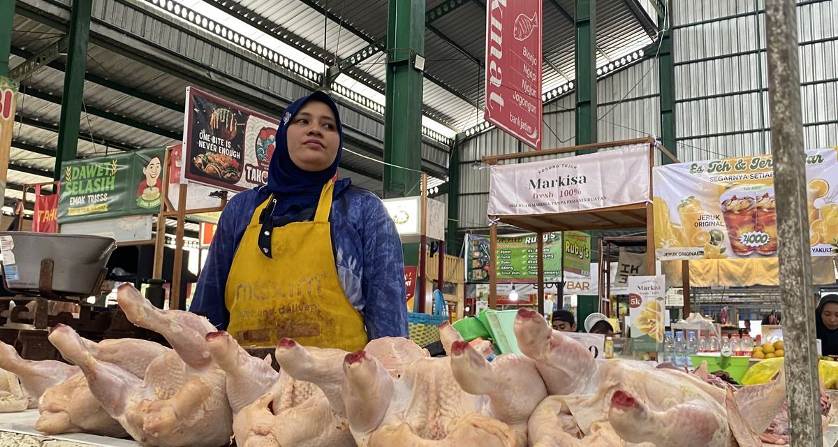 Harga Ayam Naik Sejak Program MBG Berjalan Kembali