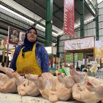 Harga Ayam Naik Sejak Program MBG Berjalan Kembali