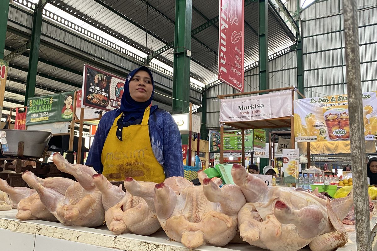 Harga Ayam Naik Sejak Program MBG Berjalan Kembali