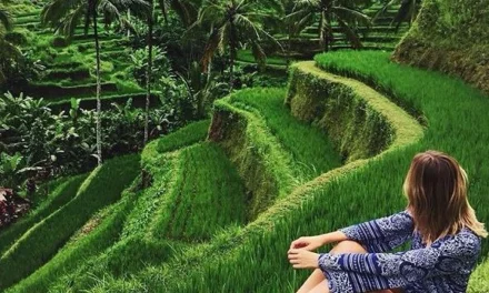 Hidup Tenang Di Bali: Alasan Orang Memilih Memulai Hidup Baru