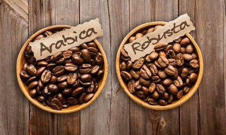 Kopi Arabika VS Robusta: Perbedaan Rasa, Aroma, Dan Kafeinnya