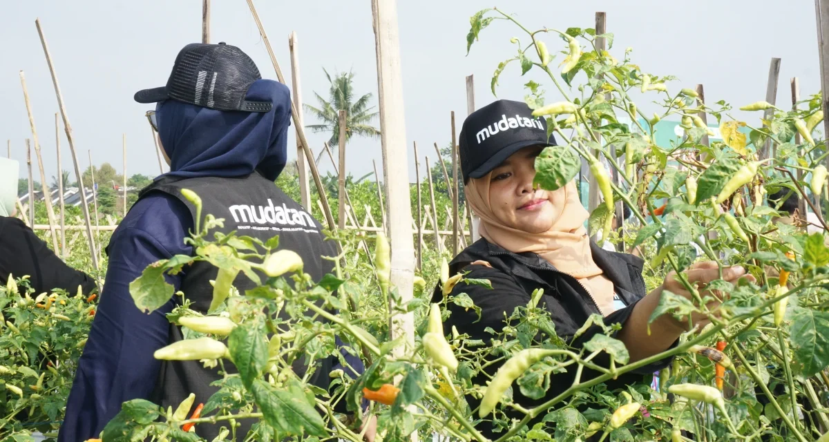 Petani Muda: Generasi Baru Mengembangkan Sektor Pertanian