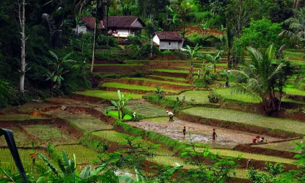Wisata Alam: Menikmati Keindahan Sambil Menjaga Lingkungan