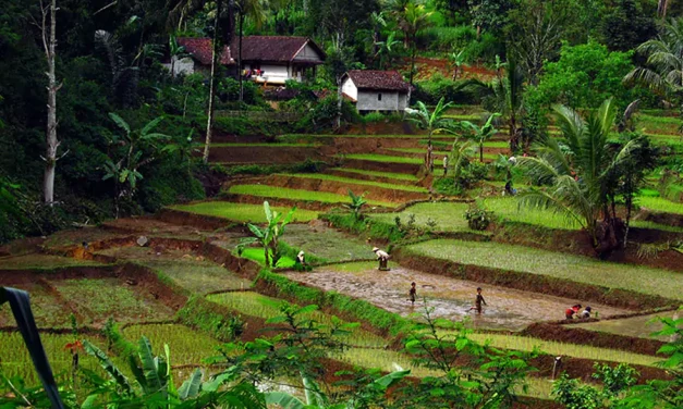 Wisata Alam: Menikmati Keindahan Sambil Menjaga Lingkungan