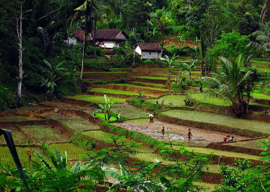 Wisata Alam: Menikmati Keindahan Sambil Menjaga Lingkungan