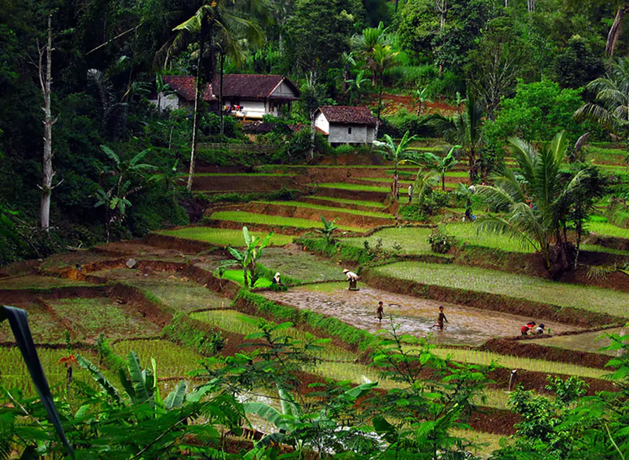 Wisata Alam: Menikmati Keindahan Sambil Menjaga Lingkungan
