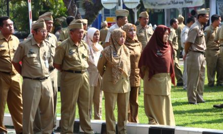 Menjadi PNS: Tahapan Seleksi, Persyaratan, Dan Tanggung Jawab