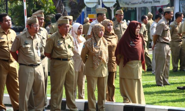 Menjadi PNS: Tahapan Seleksi, Persyaratan, Dan Tanggung Jawab