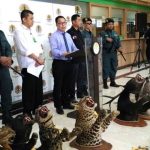 Perlindungan Satwa Liar: Adanya Ancaman Perdagangan Ilegal