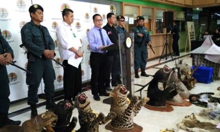 Perlindungan Satwa Liar: Adanya Ancaman Perdagangan Ilegal