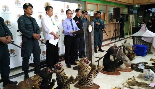 Perlindungan Satwa Liar: Adanya Ancaman Perdagangan Ilegal