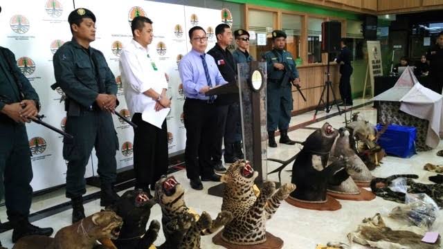 Perlindungan Satwa Liar: Adanya Ancaman Perdagangan Ilegal