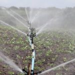 Sistem Irigasi Modern: Dengan Efisiensi Penggunaan Air Pertanian
